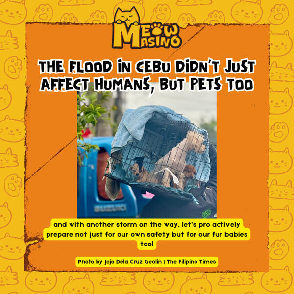 Ad for Hound Haven